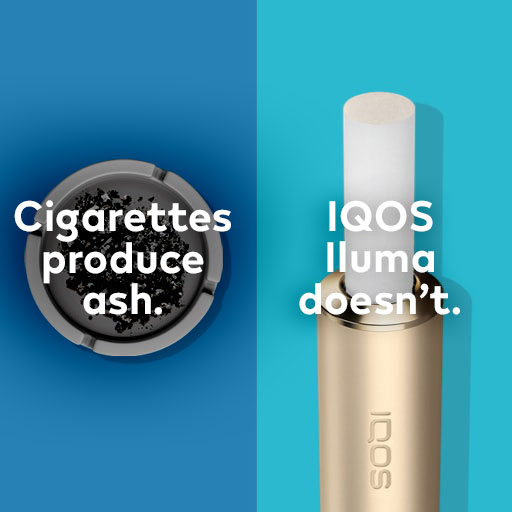 Ash in an ash tray compared to IQOS. 