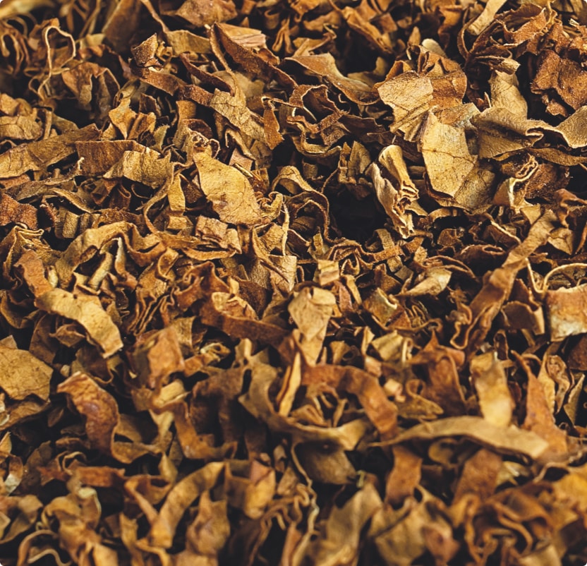 Feuilles de tabac coupées.